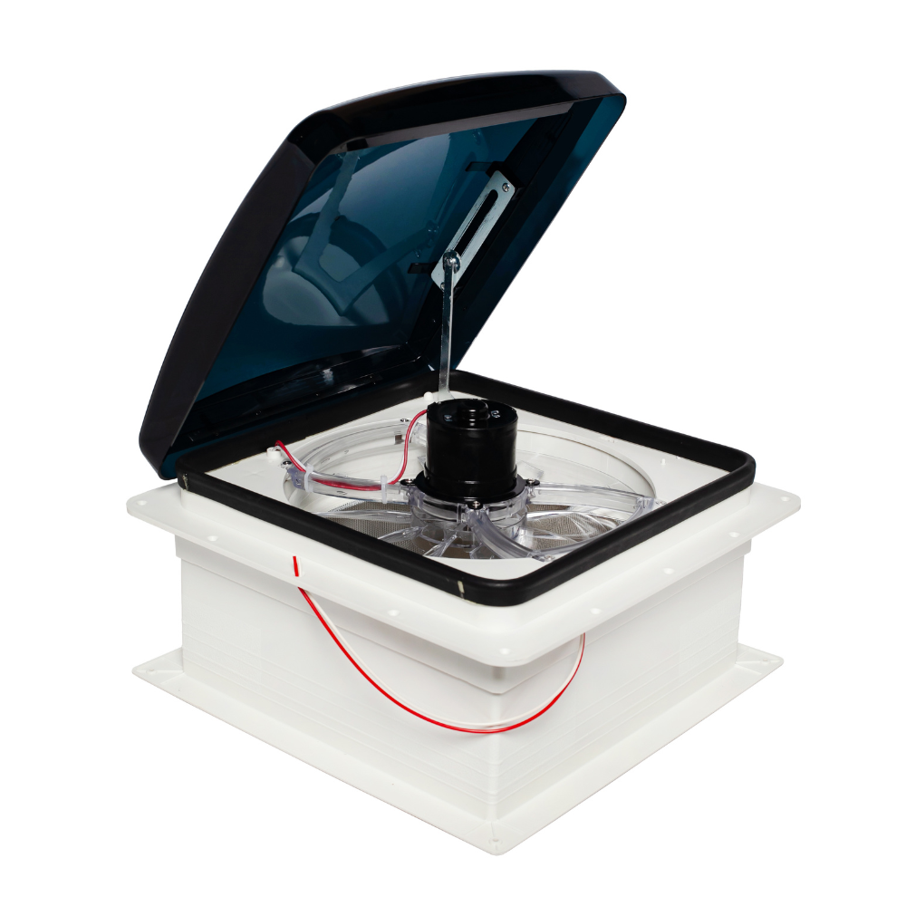 Design sem nome (10)